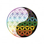 單獨Logo社團法人台灣家族系統排列協會-01